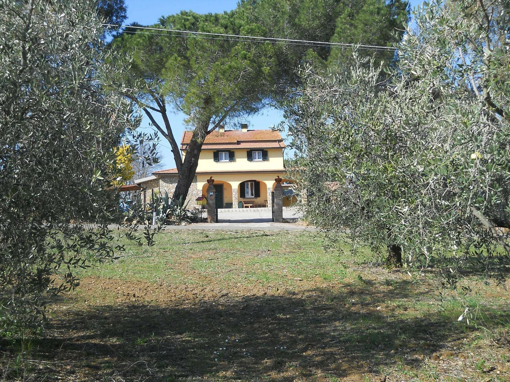 Agriturismo Poggio Sassineri Vila Magliano in Toscana Exterior foto